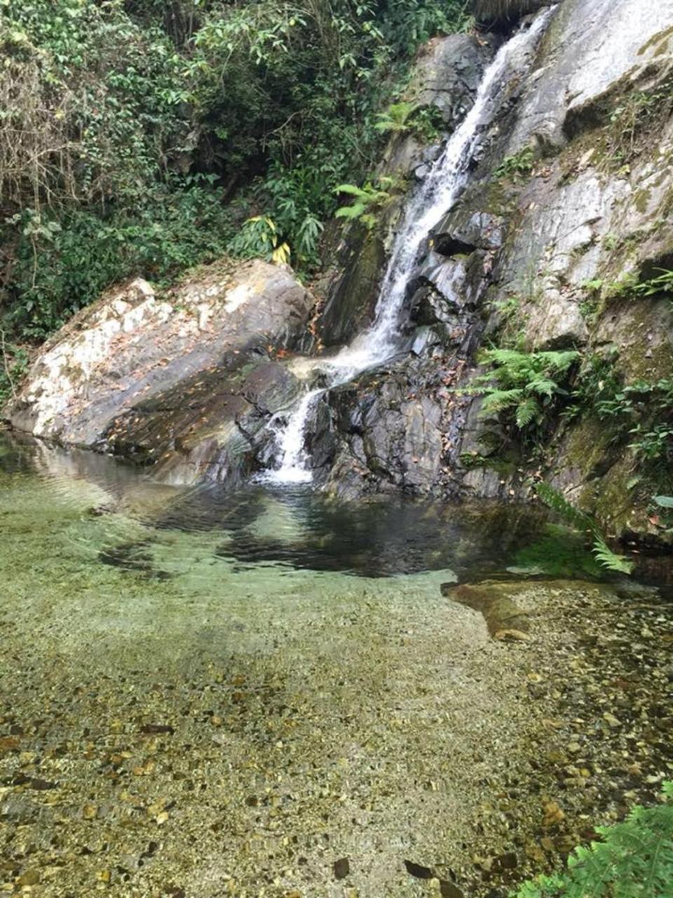 Glamping Finca Margaritas Pluma Hidalgo Exterior photo