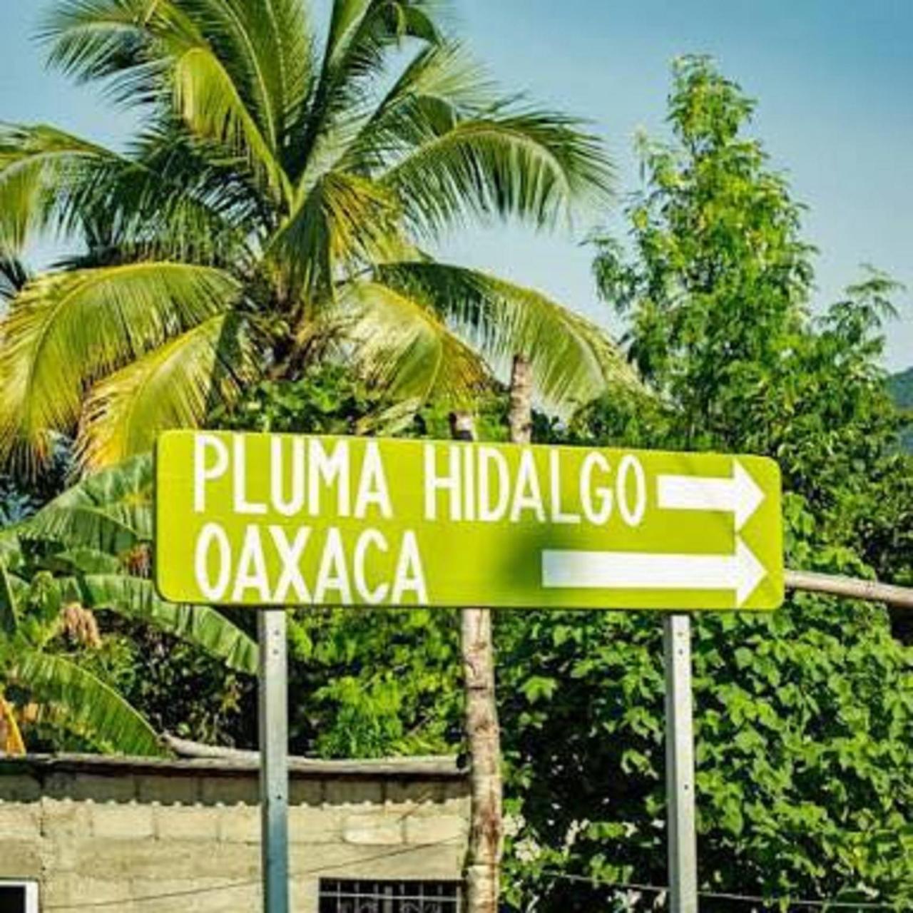 Glamping Finca Margaritas Pluma Hidalgo Exterior photo